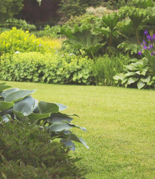 request-landscaping-free-quote